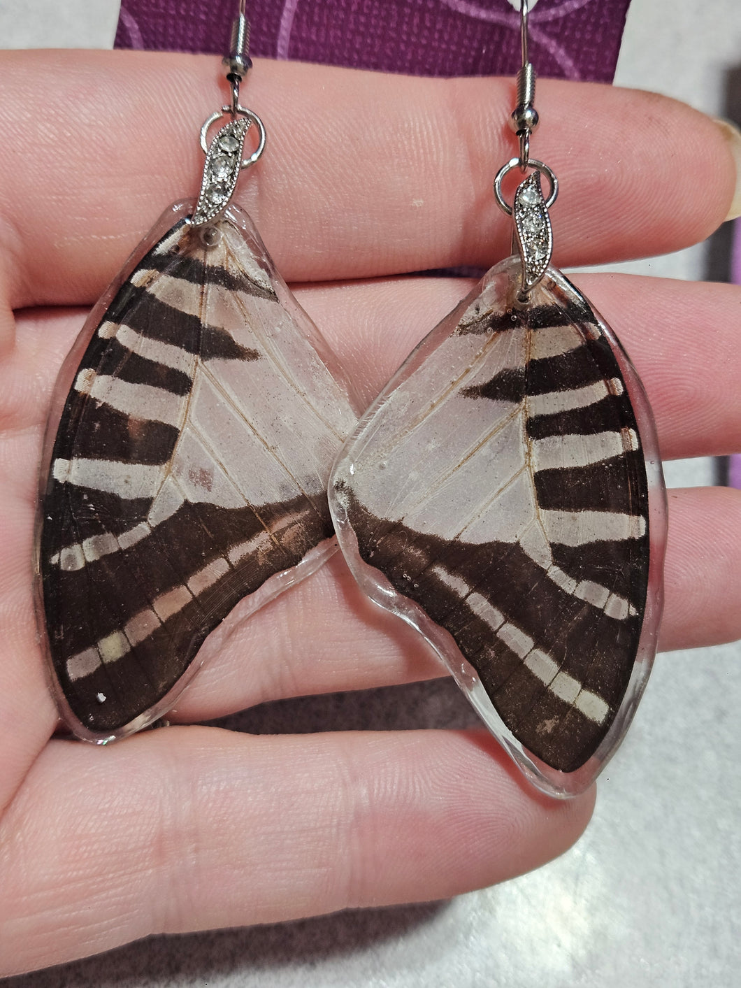 Real Butterfly Wing Earrings - Graphium Aristius Forewing