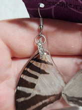 Load image into Gallery viewer, Real Butterfly Wing Earrings - Graphium Aristius Forewing
