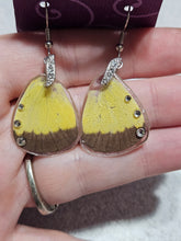 Load image into Gallery viewer, Real Butterfly Wing Earrings - Yellow Hindwing
