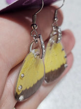 Load image into Gallery viewer, Real Butterfly Wing Earrings - Yellow Hindwing
