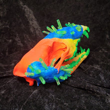 Load image into Gallery viewer, Neon Skull with Crystals - Coyote
