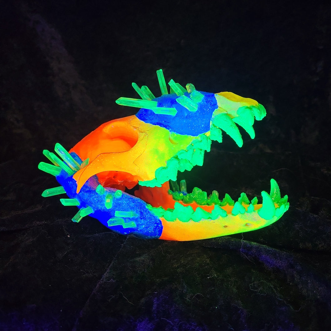 Neon Skull with Crystals - Coyote